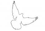 Dove Outline, line drawing, shape