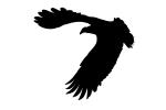 Vulture silhouette, shape, logo, Wings, Flying, Airborne, Flight, ABFD01_158M