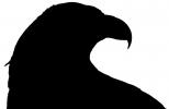 Bald Eagle, logo, ABFV01P03_18M