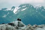 Bald Eagle, Alaska, ABFV01P05_18.0354