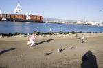 vern's shadow, docks, pier, harbor, running, chasing pigeons, ABGD01_078