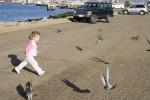 running, chasing pigeons