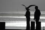 Seagulls, Pier, Dock, Woman, Man, Bodega Bay, Sonoma County, California, ABGD01_150
