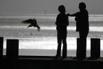 Seagulls, Pier, Dock, Woman, Man, Bodega Bay, Sonoma County, California, ABGD01_151