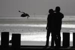 Seagulls, Pier, Dock, Woman, Man, Bodega Bay, Sonoma County, California, ABGD01_157