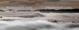 Sonoma Mountain Range, Fog, Panorama, Two-Rock, ABGD01_165C