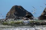 Russian River meets the Pacific Ocean, waves, haystacks, ABGD01_190