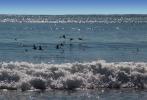 Waves, Ocean, Drakes Beach, seashore, coast, coastal, coastline, ABGD01_240