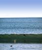 Drakes Beach, seashore, coast, coastal, coastline, Wave, ABGD01_259