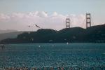 seagulls, Golden Gate Bridge, ABGV01P03_05.3340