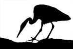 Egret silhouette, shape, logo