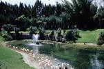 Water Fountain, aquatics, trees, gardens, pond