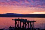 Monterey Bay, Sunrise, Sunsight, ABLD01_024