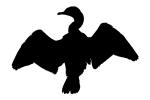 Wings Spread, Water, Cormorant silhouette, logo, shape