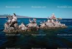 Pelicans, Cabo San Lucas, Baja Sur, ABLV01P07_18.3342