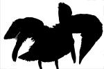 Pelican silhouette, shape, logo, ABLV02P01_19M