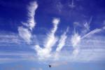 Barn Swallows, Clouds