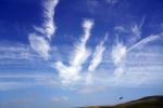 Barn Swallows, Clouds, ABPD01_225
