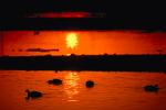 Sunset, Sunclipse, lagoon, ABWV01P01_10.3344