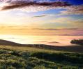 Cottagcore, Fog, Fields, Hills, Two-Rock, Sonoma County, ACFD01_062