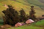Red Barns, Trees, Hillside, Sonoma County, ACFD01_083