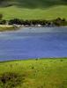 Cows, Cattle, Tomales Bay, Marin County, ACFD01_121