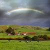 Rainbow, Hills, Trees, Buildings, Cottagecore, Sonoma County, ACFD01_129