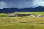 Water Canal, Grazing Cows, Rolling Hills near Newman, Central California, ACFD01_250