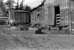 goats, barn, Shed, outdoors, outside, exterior, rural, building, Cotati, Sonoma County