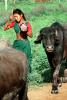Brahma, Girl, Cattle, ACFV02P02_18B