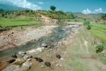 asian water buffalo, River, Stream, Araniko Highway