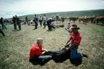 Branding, Calf, inoculating a calf, Cowboy, ACFV02P06_11
