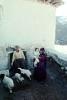 Sheep, Hezar Hani, Iran, ACFV03P14_05