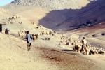 Sheep Herders Men, Dougardare, Iran, ACFV04P04_18