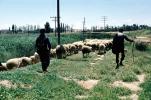 Sheep Herder, near Granada, Spain, ACFV04P06_11