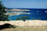 Cow, harbor, islands, shore, shoreline, Crete, ACFV04P10_09