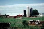barn, cow, silo, outdoors, outside, exterior, rural, building, architecture, cattle