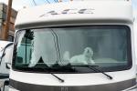 Dog on the Dashboard, ADSD01_117