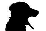 dog yawning silhouette, logo, shape