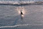 Wet Dog, Dog at a beach, fetching a stick, ADSV01P07_05