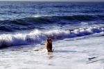 Ocean Beach, Sand, Waves, Water, San Francisco, California, Ocean-Beach, ADSV02P02_02