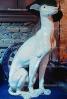 greyhound dog, Virginia City, ADSV02P04_06B
