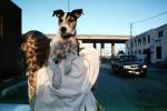 Potrero Hill, Jack Russell Terrier