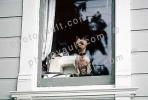Dog in a Window, ADSV03P01_12