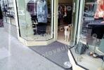 Shar-Pei, Union Street, door, doorway, metal dog bowl, ADSV03P02_10