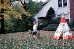 Autumn, leaves, Terrier, backyard, home, house, American Hickok Jungles, 1950s, ADSV04P03_17