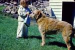 Girl with her dog, backyard, 1950s