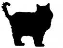 Calico, MeYou the magical cat silhouette, This was my cat for 17 years, logo, shape, AFCV02P09_11M