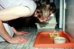 Woman blows out candles for birthday Cat, food, candles, tray