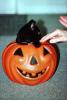 Black Cat inside an orange plastic smiling pumpkin